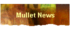Mullet News