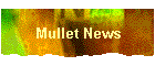 Mullet News